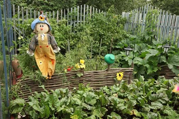Пугало для огорода на окне. Чучело на огород. Чучело огородное в детский сад. Огород с пугалом на подоконнике в детском. Огород с пугалом на подоконнике в детском.
