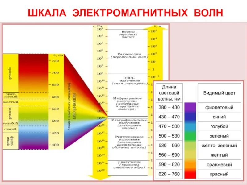 Шкала длин электромагнитных волн. Шкала электромагнитных волн видимый спектр. Оптический (видимый) диапазон шкалы электромагнитных волн составляет. Шкала частот электромагнитного излучения. Электромагнитные волны видимого света имеют большую