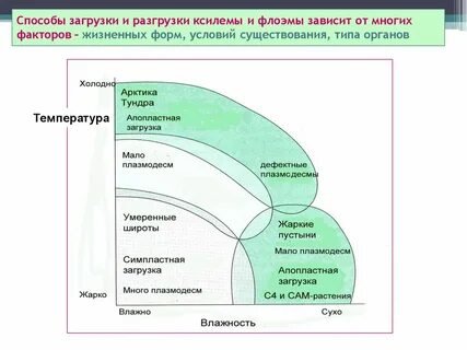 Многих факторов