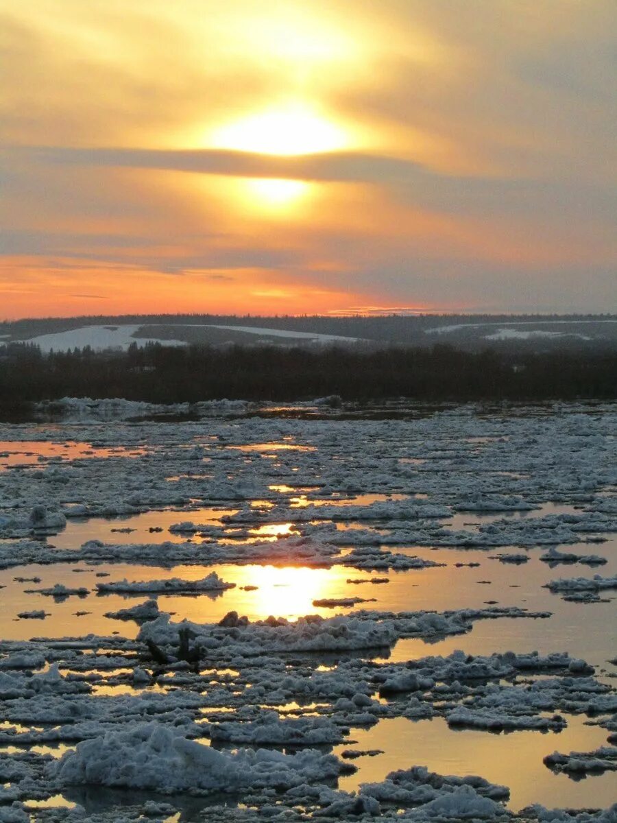 Река Печора Республика Коми. Река Ижма Республика Коми. Республика Коми ревка печера. ПЕКА печёра. Воды рек коми