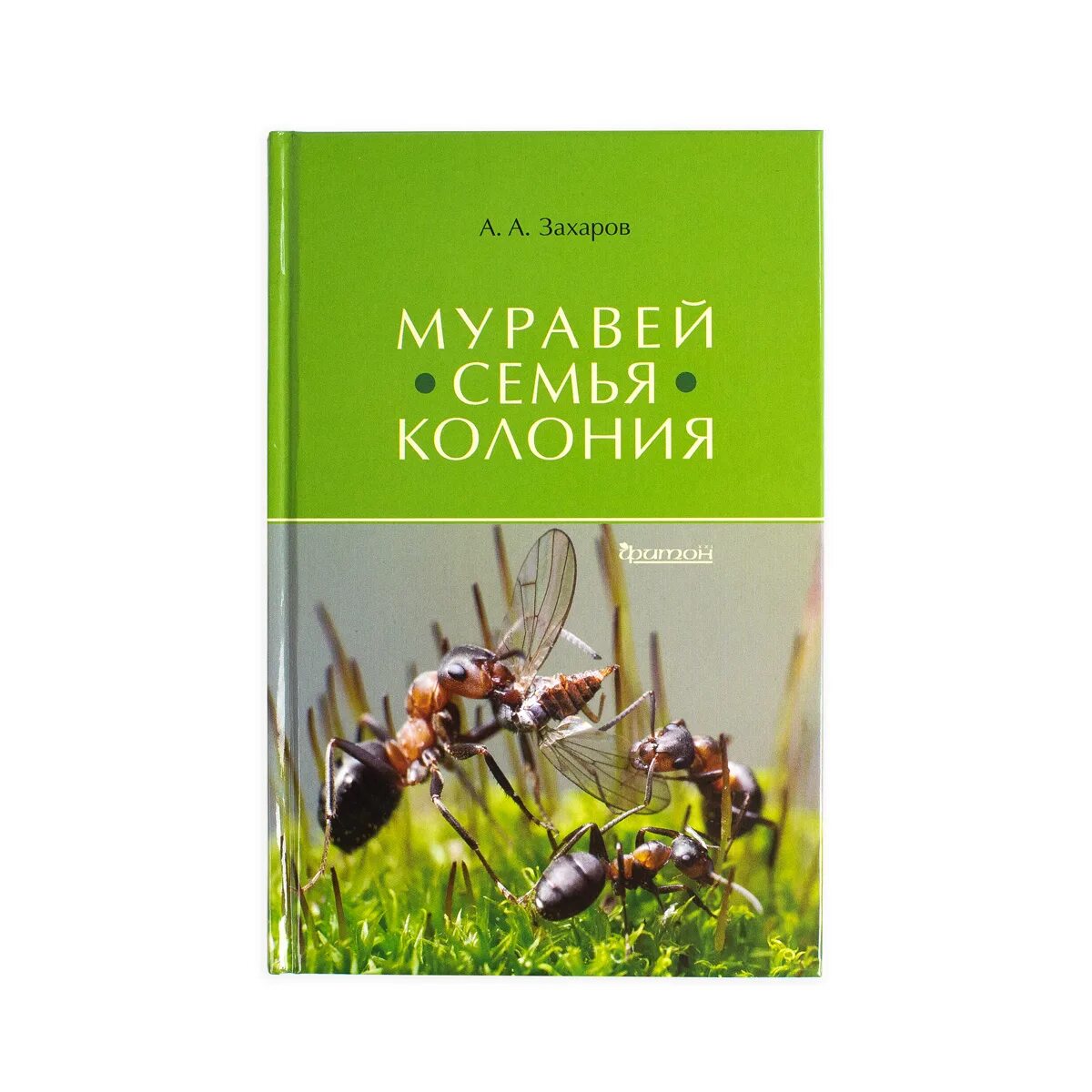 Книга про муравья. А. Захаров "муравей, семья, колония". Муравьи семья колония книга. Энциклопедия про муравьев.