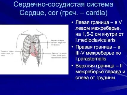 Сердечный пройти
