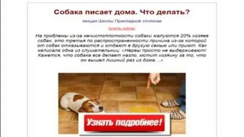Щенок перестал писать