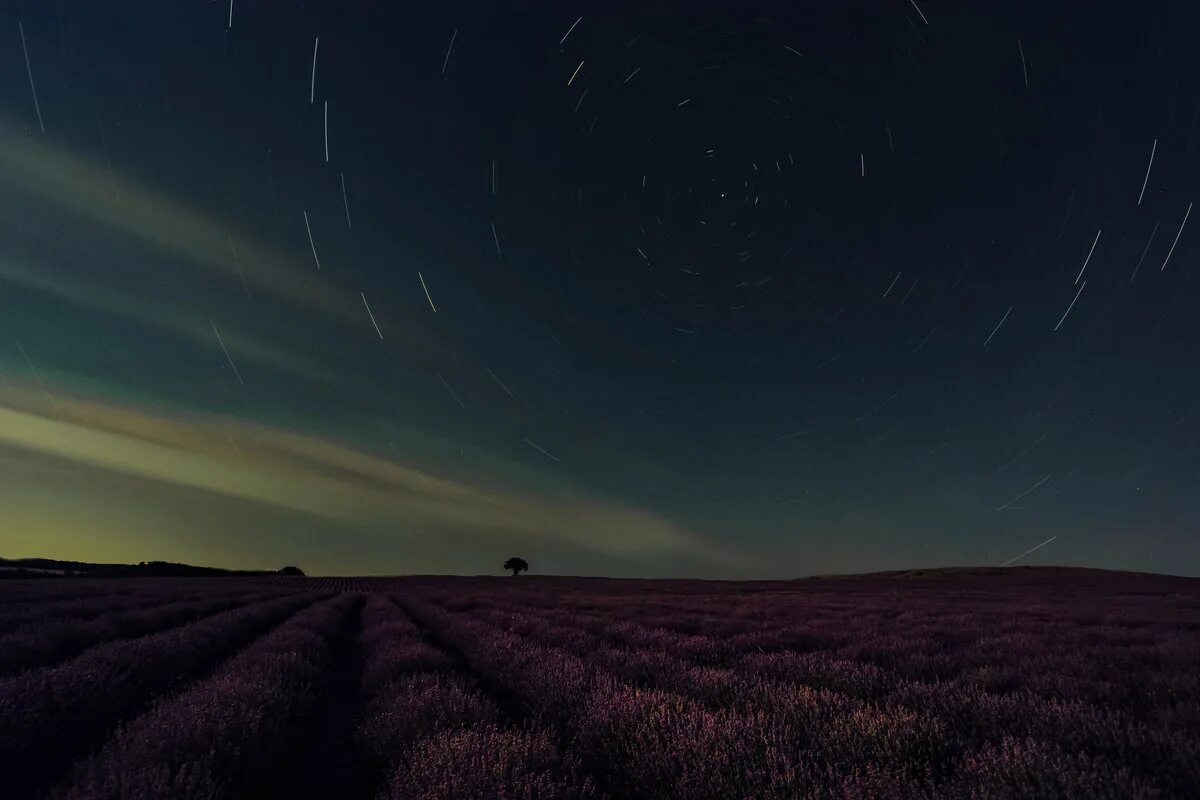 природа ночью. ночные звуки. степь ночью. звук ночного поля. звук ночного поля.