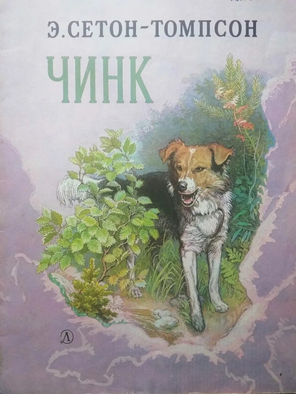 Томпсон рассказы о животных чинк. Чинк сетон-томпсон иллюстрации. иллюстрации к рассказу сетон томпсона чинк. чинк книга.