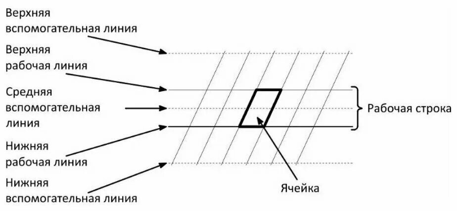 Название строк в прописи. Название линий в прописи. Линии рабочей строки. Рабочая строка верхняя и нижняя.