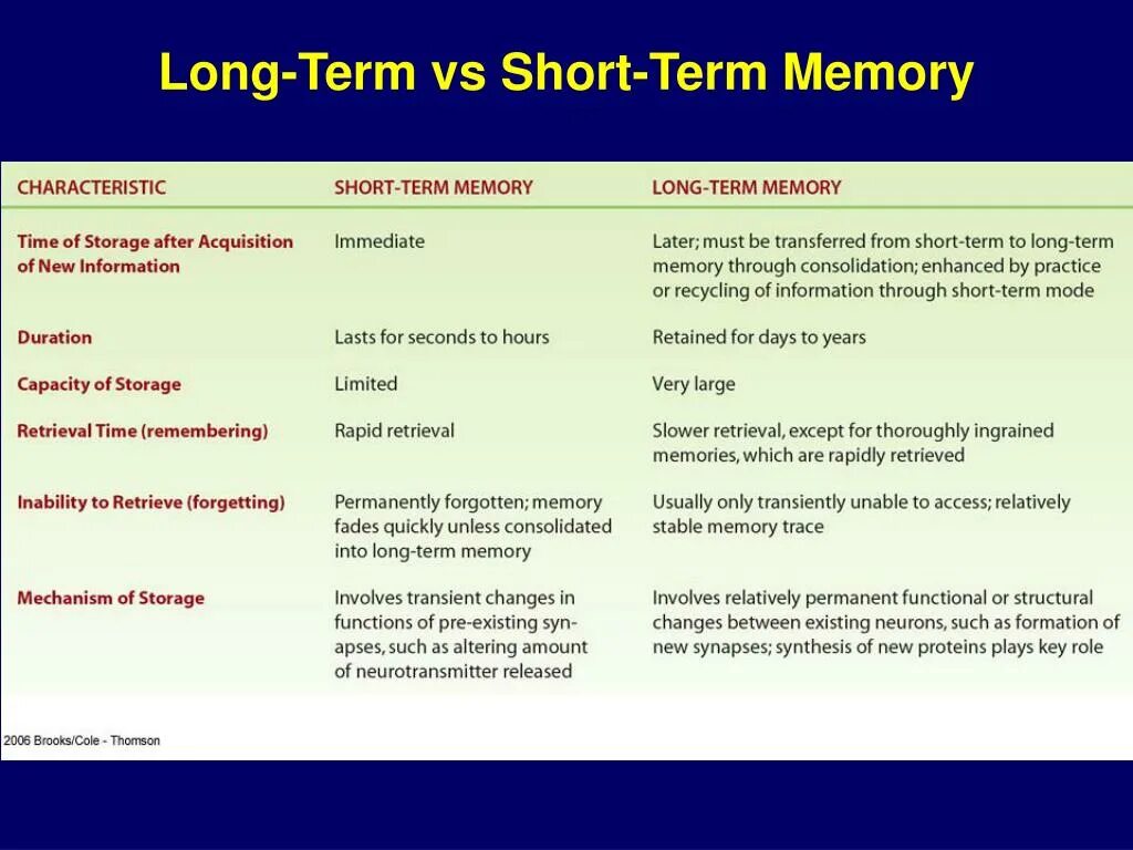 Short memory. Long-term and short-term Memory. Long short term Memory модели. Mechanism of short term Memory. Short Memory long Memory.