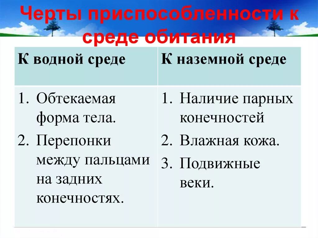 Черты приспособленности к среде обитания наземно водная. Черты приспособления к среде обитания. Черты приспособленности к среде обитания. Черты приспособленности к среде. Черты приспособления.