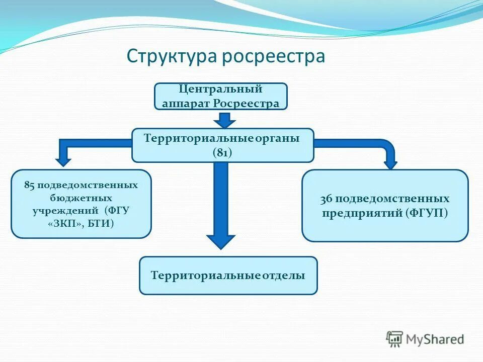 схема системы управления. структура управления акционерного общества схема. орган управления регистрацией. орган управления регистрацией. структура и органы управления образовательной организацией садик.