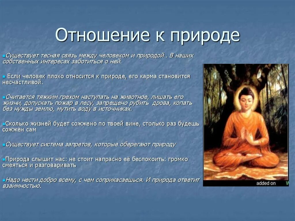 Буддизм отношение к природе. Отношение к природе. Отношение человека к природе. Человеческое отношение к природе это.