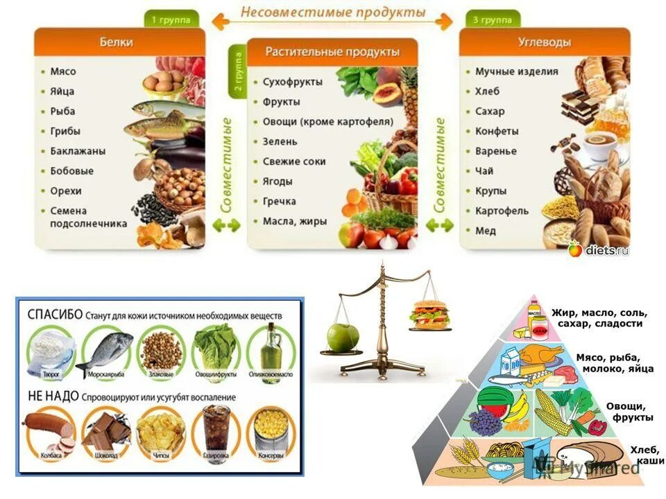 Раздельное питание таблица совместимости продуктов меню. Список правильных продуктов для правильного питания. Список разрешенных продуктов на правильном питании. Правильное питание таблица продуктов. Список продуктов для правильного питания.