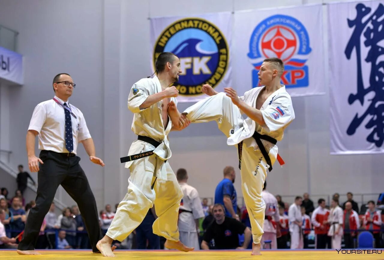 Кекусинкай каратэ ifk. Федерация каратэ ifk. Каратэ ростов на дону киокушинкай ростов-на-дону федерация. Ifk каратэ. Ifk каратэ.