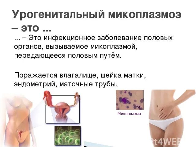 Микоплазма половым путем