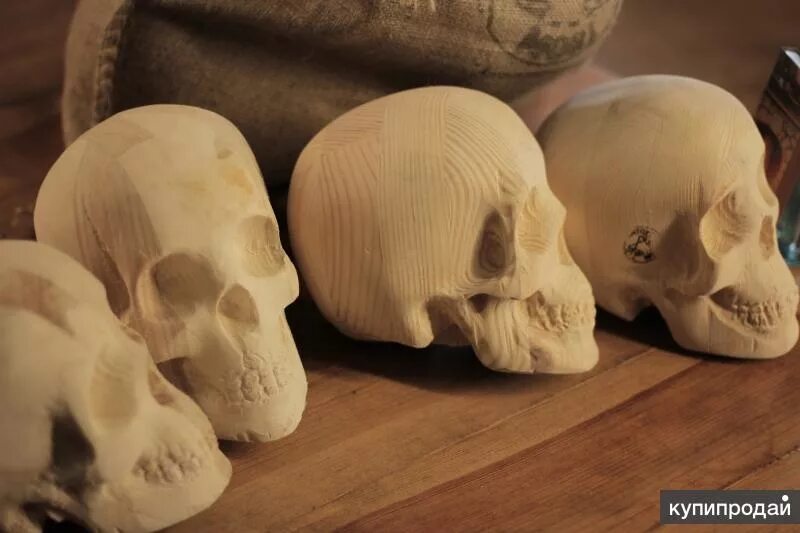 Купить формы черепов
