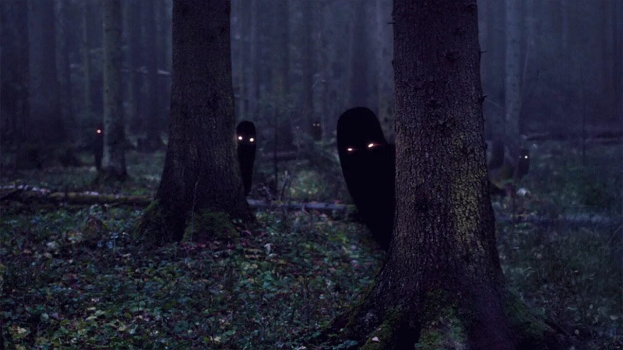 Темный лес the Woods 2005. Лес призраков (the Forest), 2015. Темный лес с призраками.