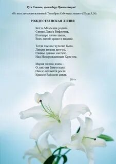 Последние цветы стихи