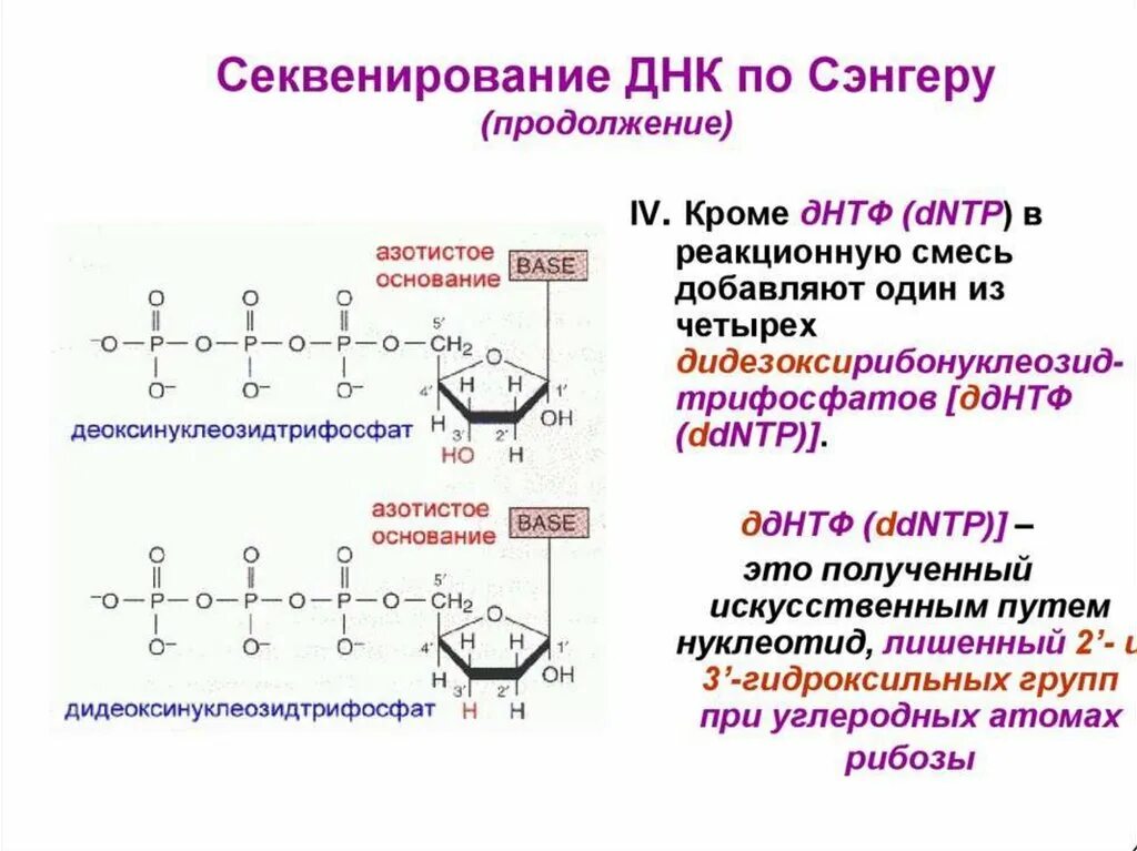 Метод секвенирования днк. Метод секвенирования ДНК по Сэнгеру. Секвенирование ДНК по Сэнгеру метод терминаторов. Секвенирование по Сэнгеру методика. Принцип метода секвенирования ДНК.