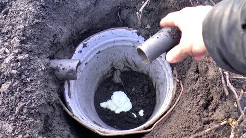 Как самому поймать крота