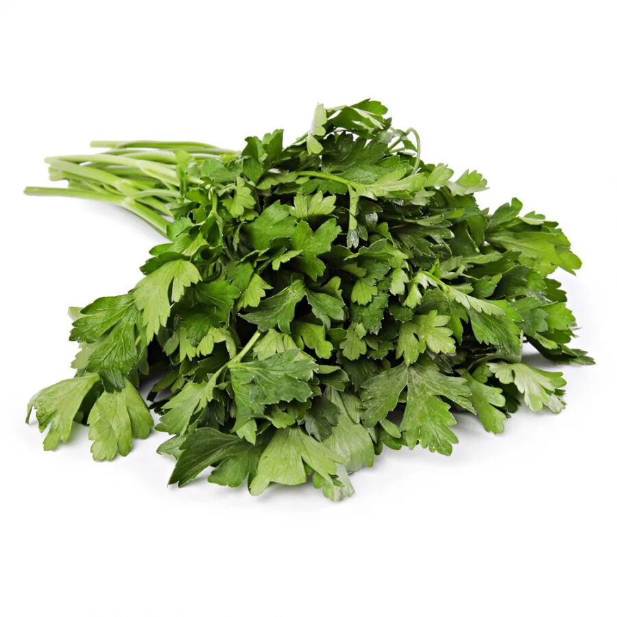 Зелень петрушка кинза. Кинза руккола зелень. Петрушка пучок, 100 г. Петрушка свежая 100г. Петрушка дейли.