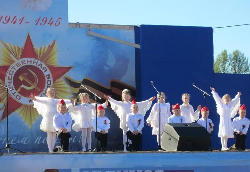 Птицы белые летели и кричали. 22 октября литературный праздник белые журавли. Две птицы летят. Журавлиный клин расул гамзатов. Оформление сцены с голубями.