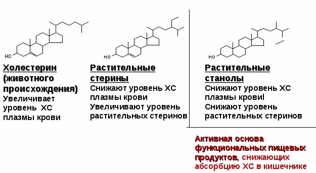 Растительный холестерин. Химическая структура холестерина. Стерины холестерин. Растительные стеролы и станолы что это.