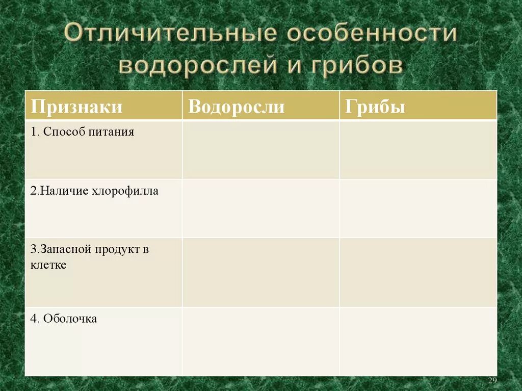 Отличительные особенности водорослей. Признаки водорослей. Характерные особенности водорослей. Основные признаки характерные для водорослей.