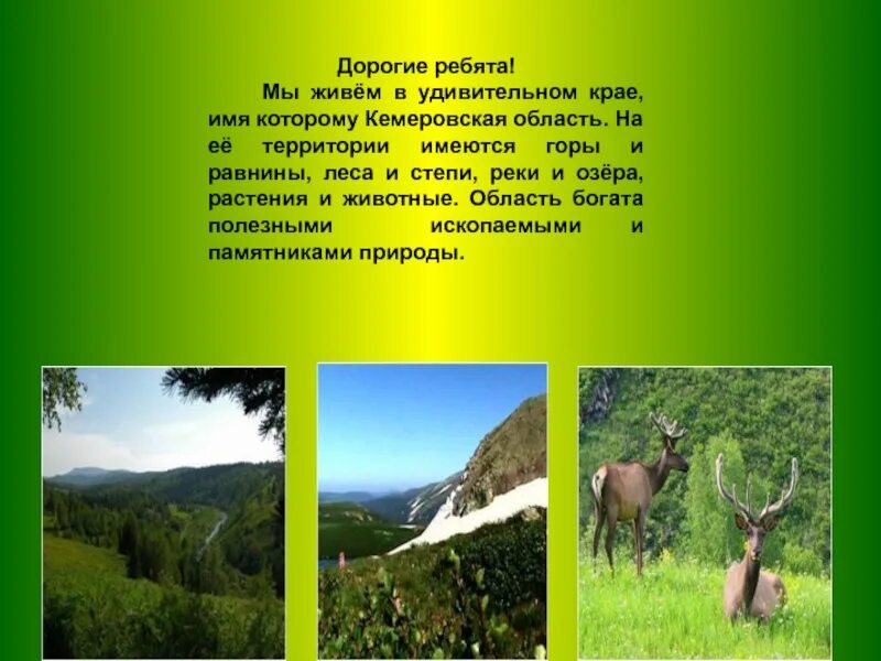 Если в твоем крае есть. Разнообразие природы Кузбасса. Заповедники Кемеровской области презентация. Разнообразие природы Кемеровской области. Заповедники и заказники Кемеровской области.