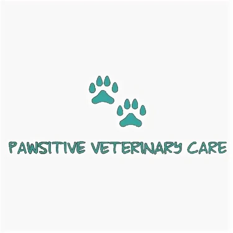 Ok vet. Pawsitive Veterinary Clinic Dubai. Pawsitive.