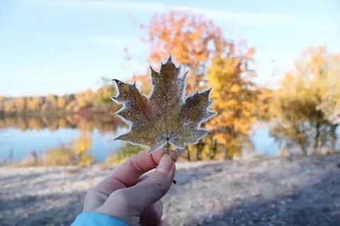 Сентябрь похолодание