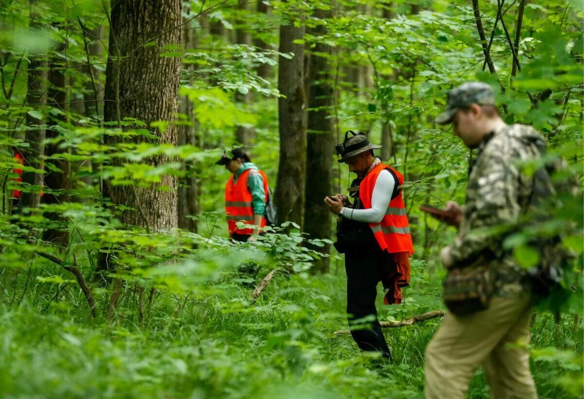 Эколог исследователь. Изучение природы. Ученый лесов. Ученый лесов. Инженер лесного и лесопаркового хозяйства.