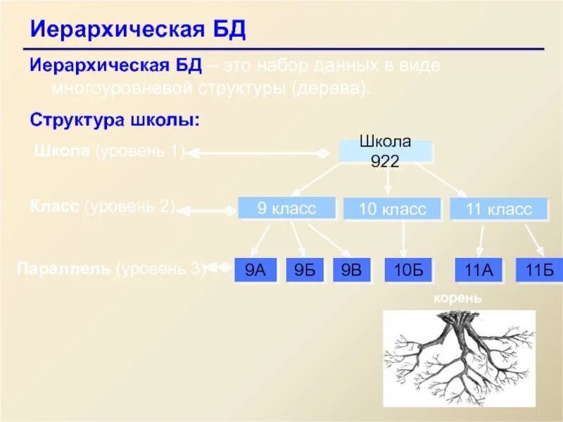 Модель иерархической структуры. Иерархическая структура школы. Многоуровневая иерархическая структура школы. Иерархическая структура данных. Автомобиль иерархическая структура.