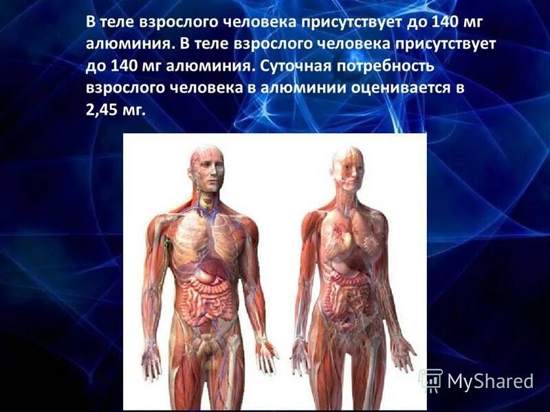 Алюминий в организме человека. Роль алюминия в организме человека. Значение алюминия в организме человека. Алюминий в теле человека.