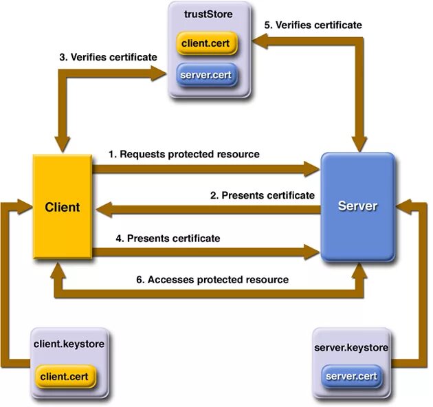 SSL схема работы. SSL диаграмма. SSL сервер. SSL принцип работы. Server cert