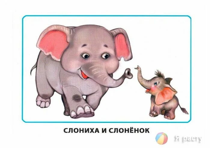 Животные для малышей лиса. Дикие животные для малышей. Карточки для детей слониха. Изображения домашних животных для детей. Домашние животные лошадь для детей.