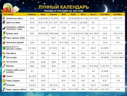 Удачный лунный календарь на ноябрь