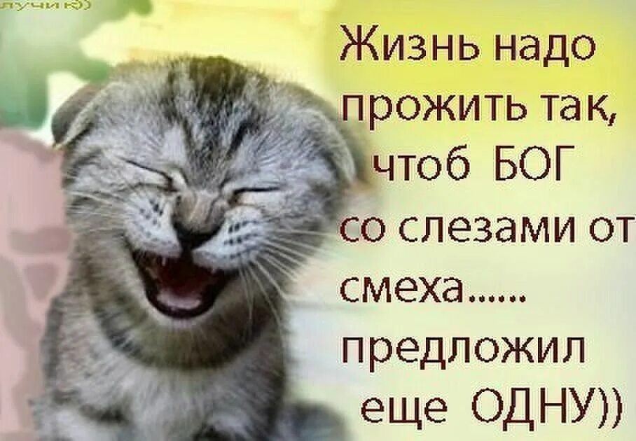 Надо жить 24. Надо жить. С 1 апреля. Шутки на 1 апреля. 1 Апреля день смеха шутки.