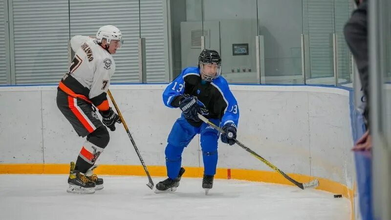 пфо 2023 хоккей