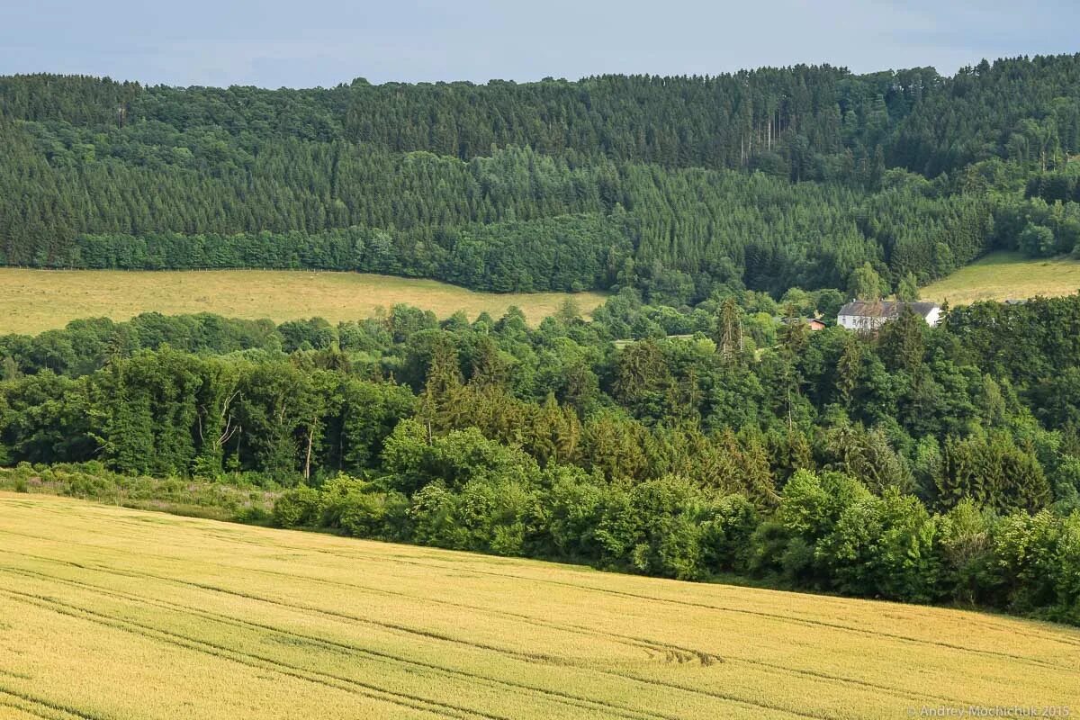 ресурсы люксембурга. арденны горы бельгия. арденны горы бельгия. люксембург природа. парк от сюр люксембург.