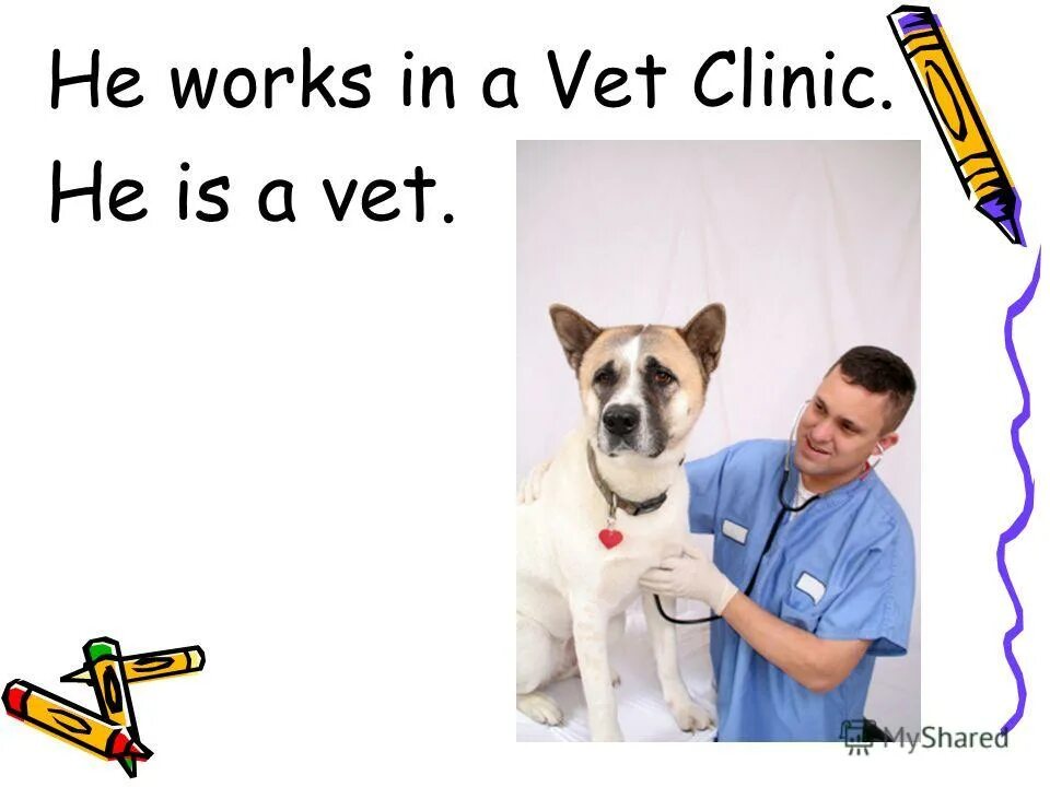 Want to be a vet