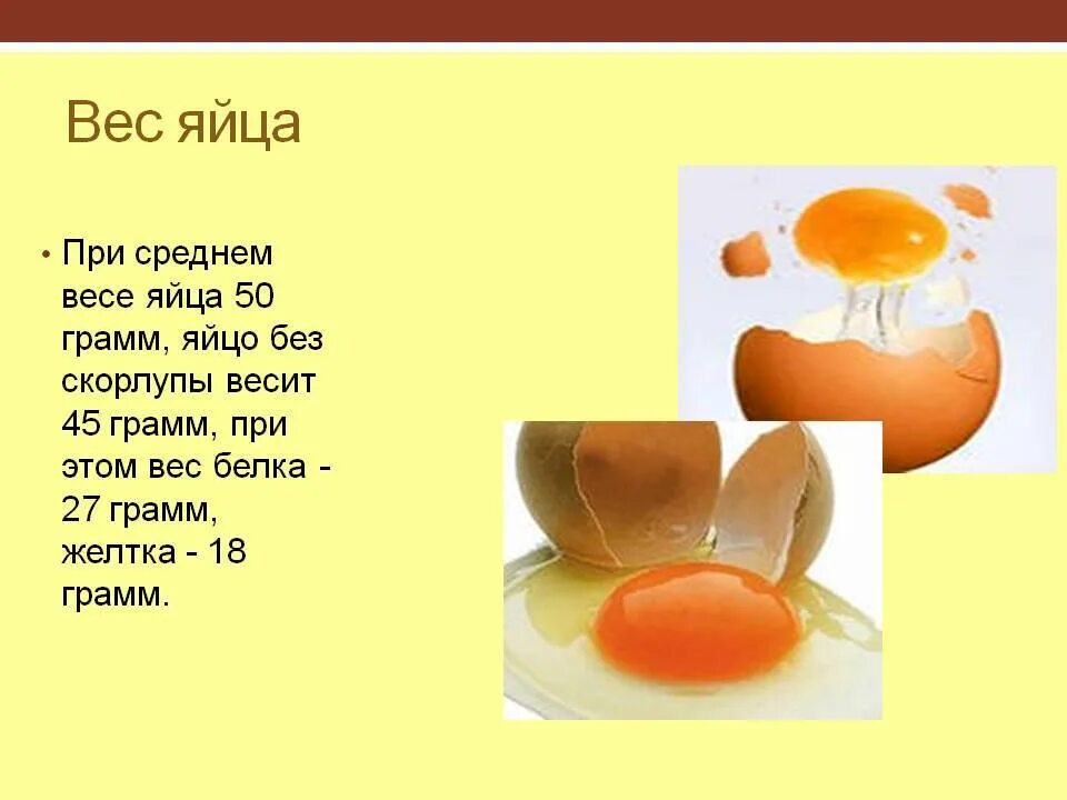 3 яйца сколько грамм. Вес 1 яйца куриного вареного без скорлупы. Масса 1 яйца куриного с1 без скорлупы. 1 Яйцо белок грамм. Масса скорлупы куриного яйца.