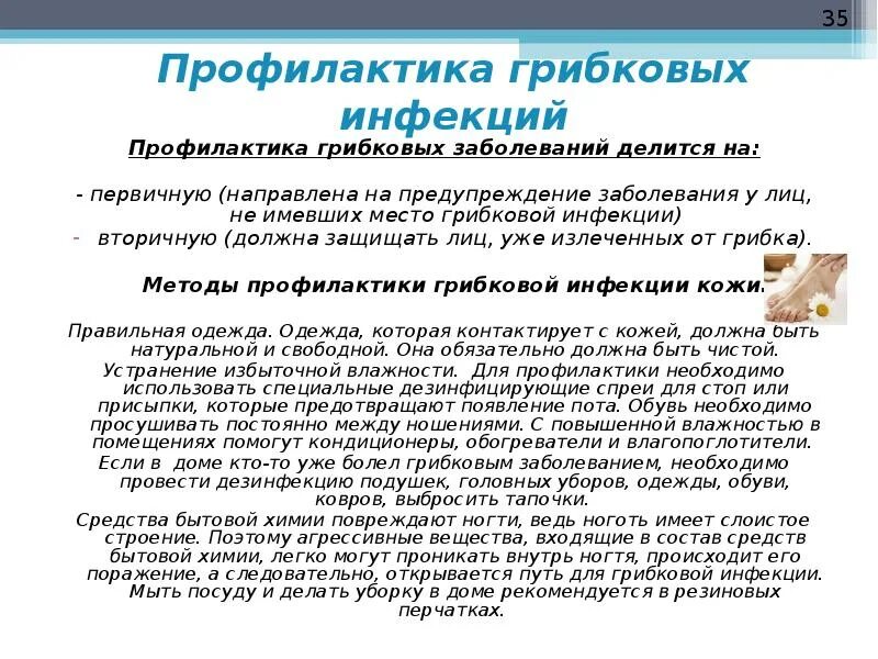 Грибок это инфекция. Профилактика грибковых заболеваний кожи. Грибковые заболевания кандидоз. Памятка по профилактике грибковых инфекций. Грибковые заболевания кожи факторы риска.