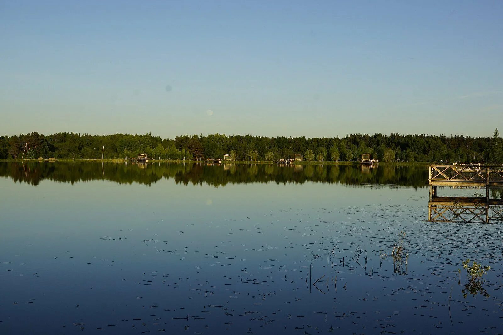 Посёлок пруды ленинградская. Восьмой пруд станица ленинградская. Пруды ленинградская. Озеро мережное выборгский район. Пруды ленинградская.