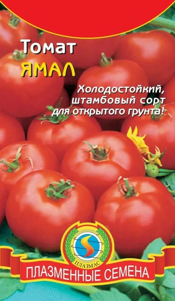 Сорт томатов ямал. Семена томата ямал-200. семена томат ямал. помидоры ямал 200. томат ямал 200 характеристика и описание.