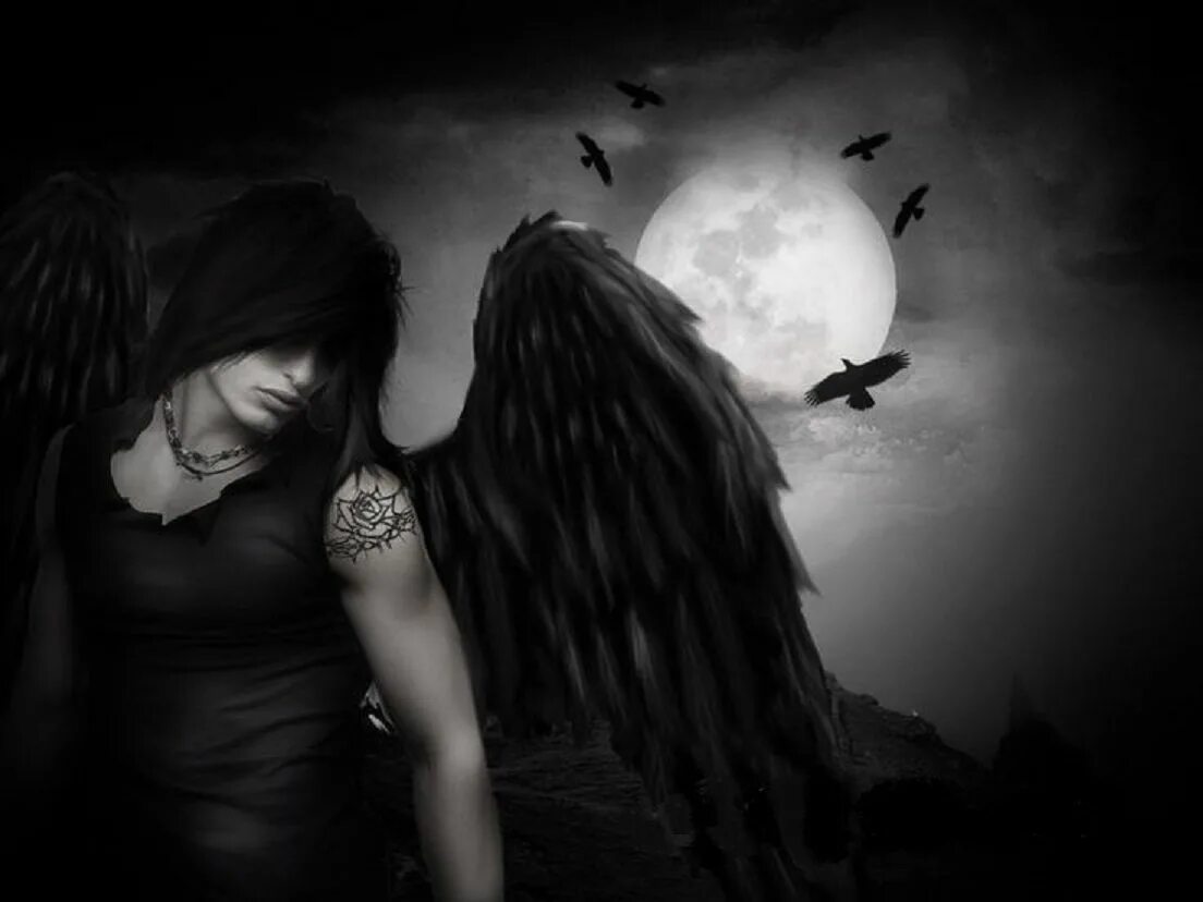 Парень с крыльями. Ангелы с темными душами. Красивые крылья демона. Тэхен демон. Парень с черными крыльями.