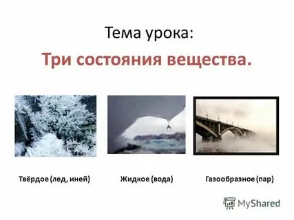 Находятся в твердом жидком или газообразном состояниях