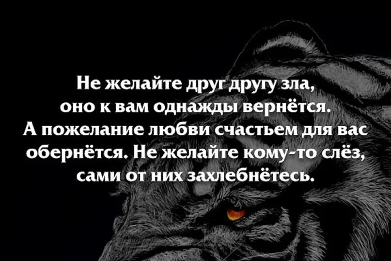 Желая плохого другому человеку. Злые статусы. Злые цитаты. Злой человек.