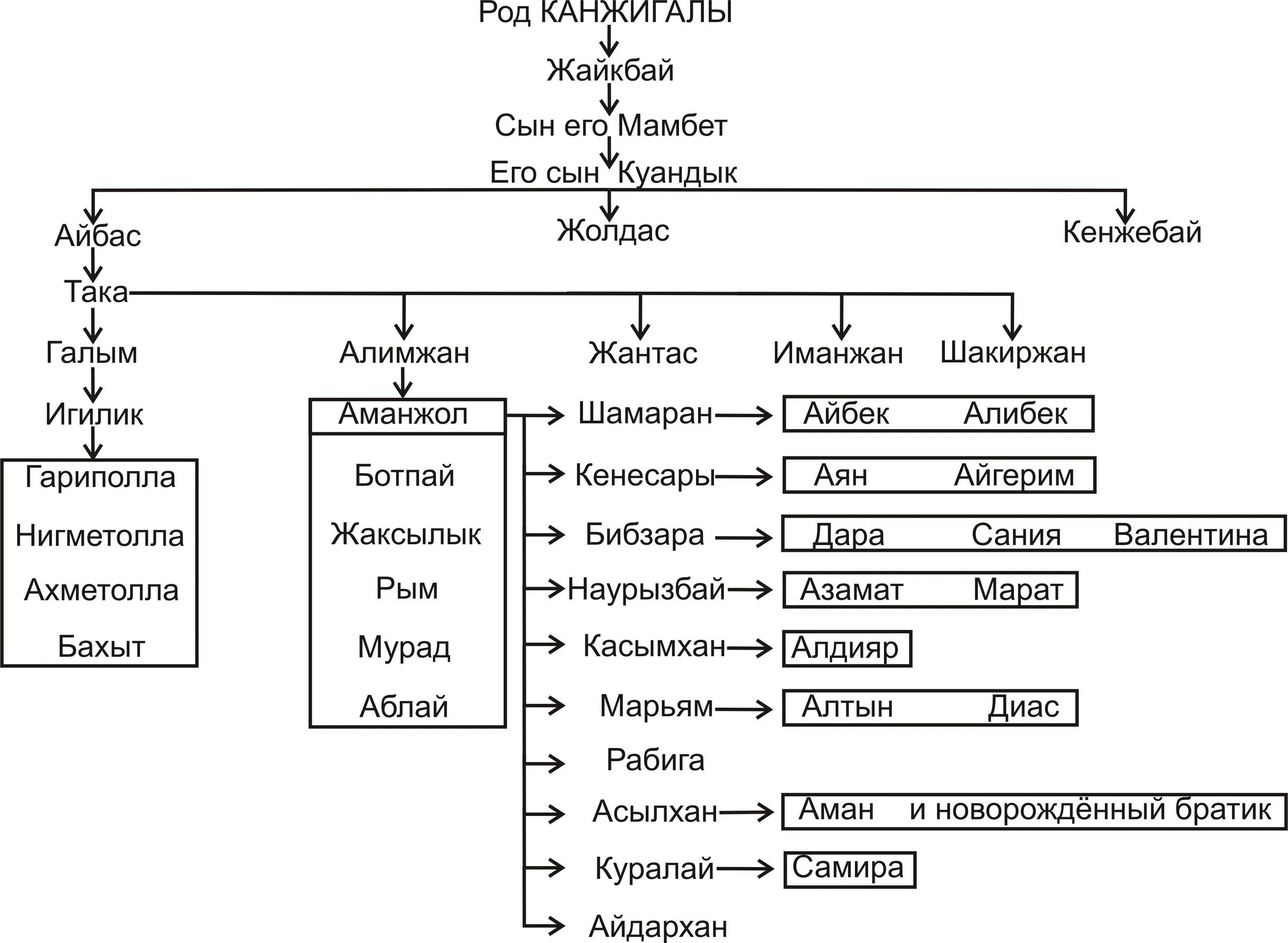 Родословная Найманов. Керей родословная. Родословная казахов род Аргын. Шежире рода Керей. Кіші жүз ханы