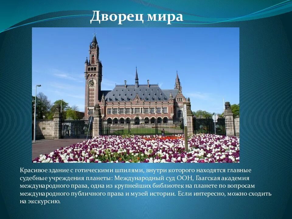 Нидерланды окружающий мир 3