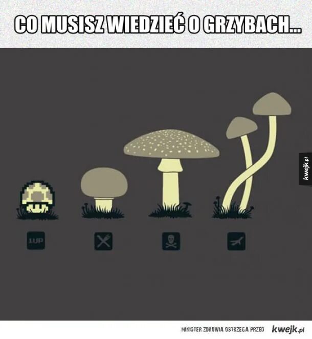 Гриб Мем. Мемы про грибы. Радиоактивный гриб. Простофиля гриб. Mushroom глагол