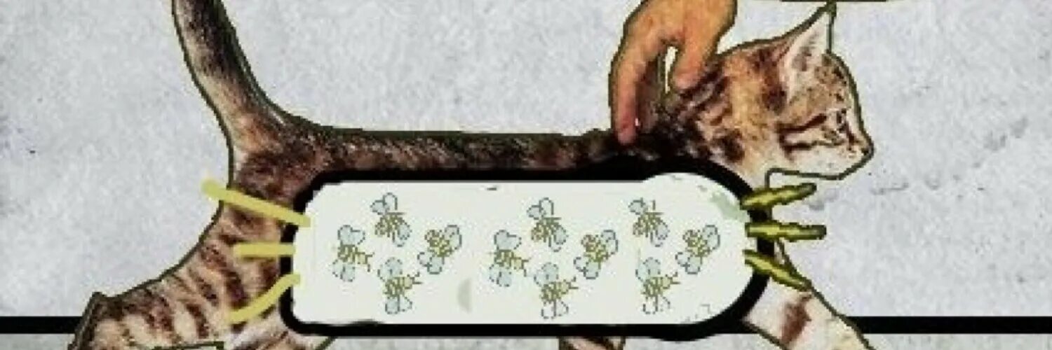 Кошка мурчит как трактор. Кот мурчалка. кошка урчит. замурчала кошка. механизм урчания кошек.